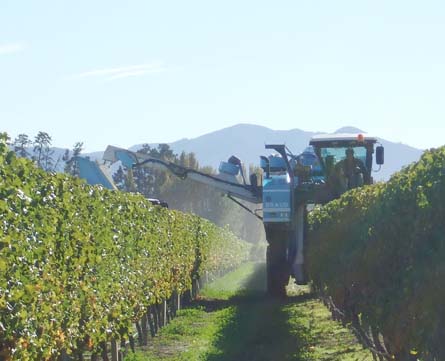 VineSmart - New Zealand Vineyard, Winery, Home, and Olive Grove For Sale - Marlborough, South Island, New Zealand  - Wine Real Estate